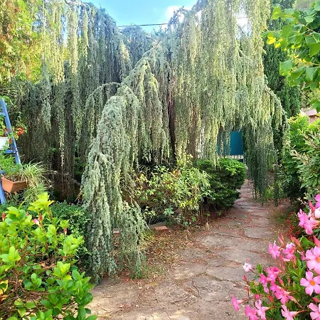 78 M2 - Au Chant Des Cigalous בית נופש סיס-פור-לה-פלאז'