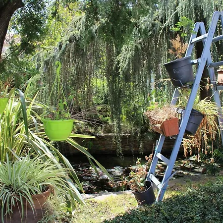 78 M2 - Au Chant Des Cigalous בית נופש *